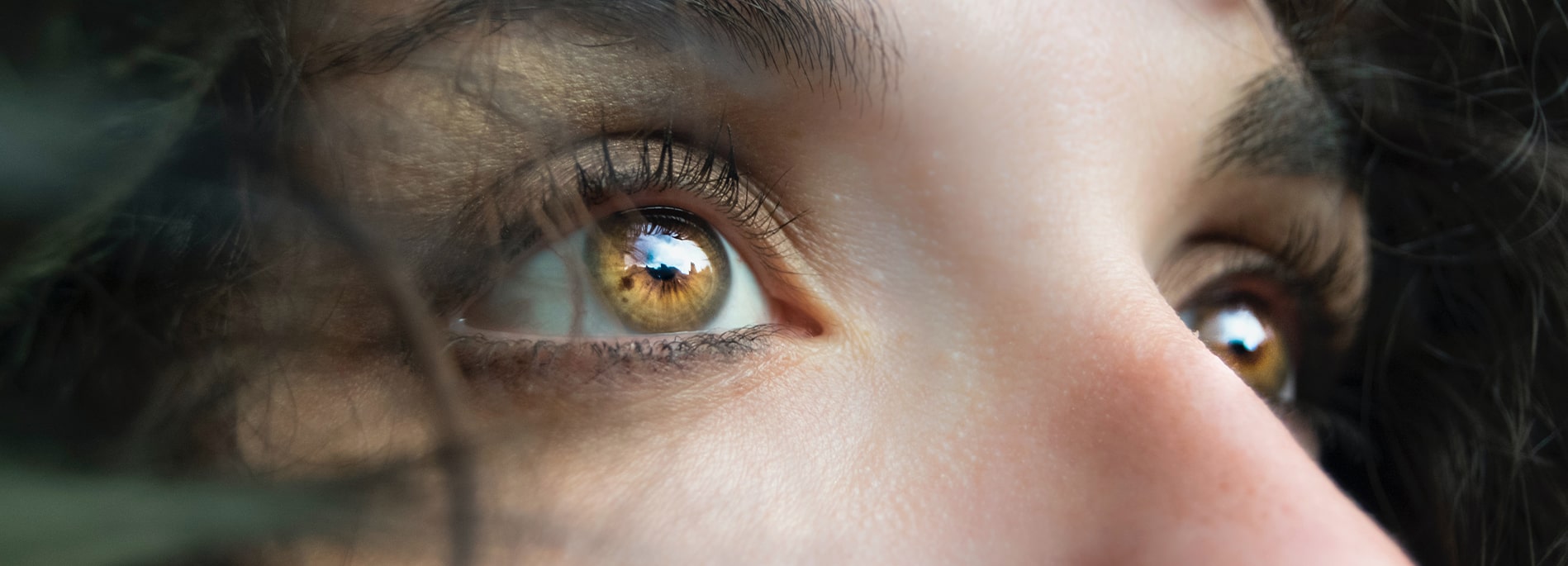 Dark amber eyes sales