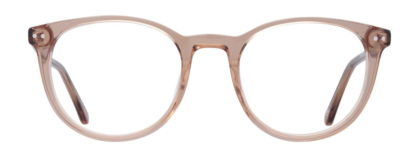 Phantos-shaped transparent brown acetate glasses with silver pin detailing.