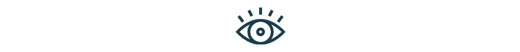 Icon depicting the human eye. 