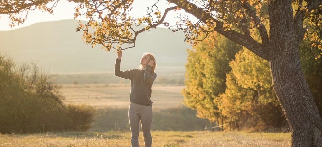 A young woman in a sweater and trousers looks at the leaves of a tree on a bright autumn day