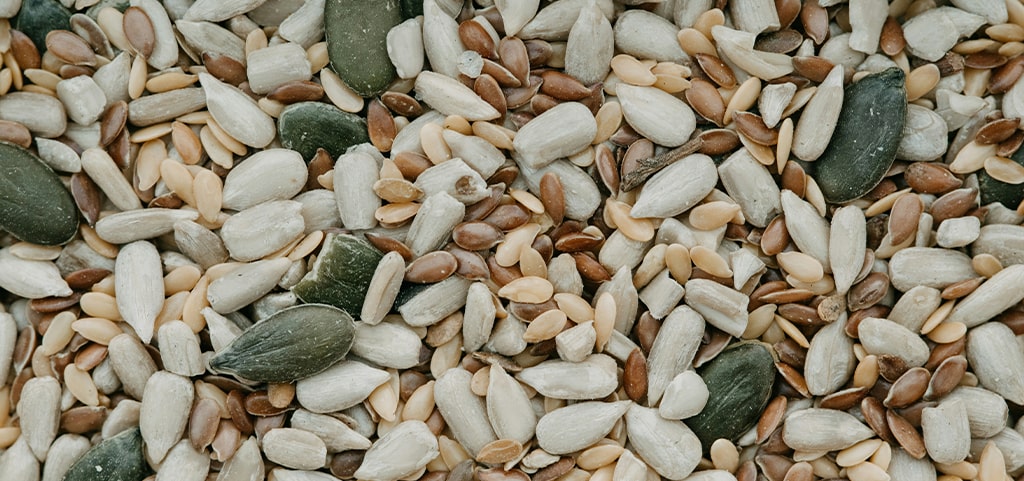 A close-up of a selection of different seeds. 