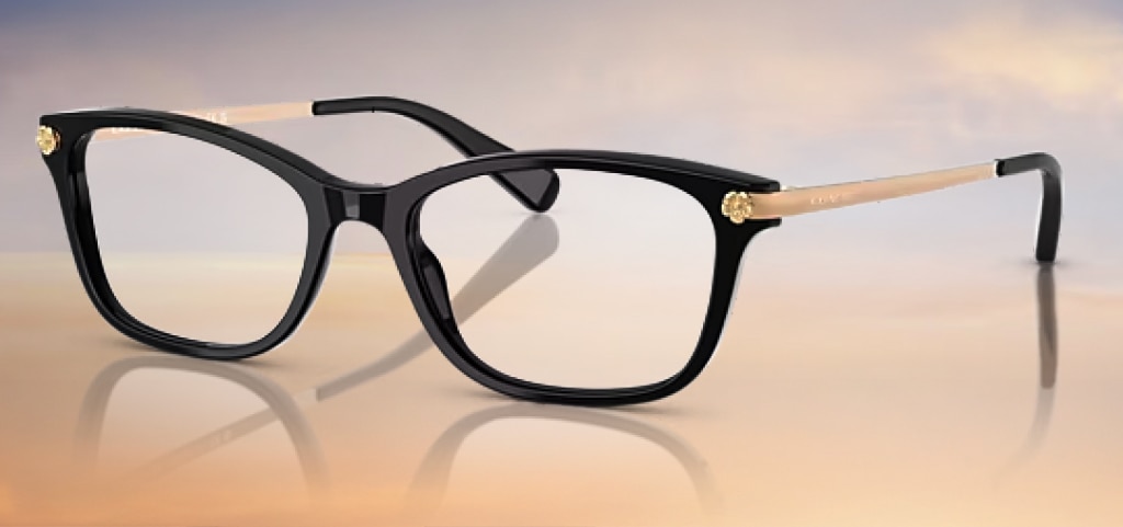 A pair of pillow-shaped Coach glasses at an angle on a gradient baby blue, white and peach background. The glasses are black with gold branded temples. The hinges have a unique floral design.
