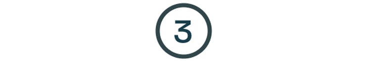 3 icon.