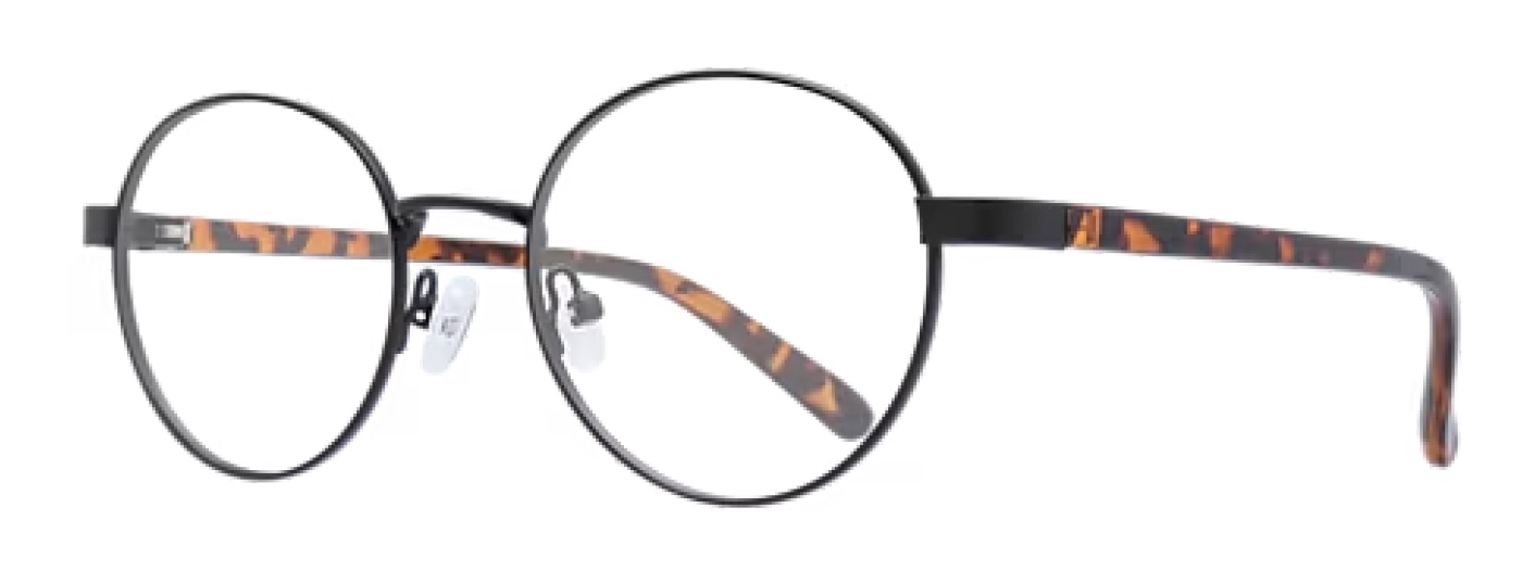 Side view of round glasses crafted from black metal with tortoiseshell plastic temples.