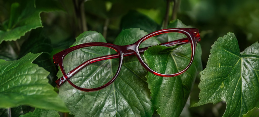 Shiny burgundy bio-nylon glasses resting on green foliage. 