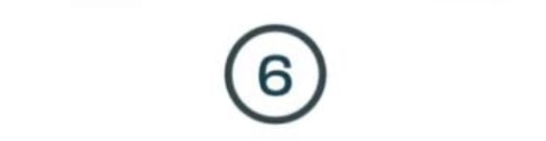 6 icon.