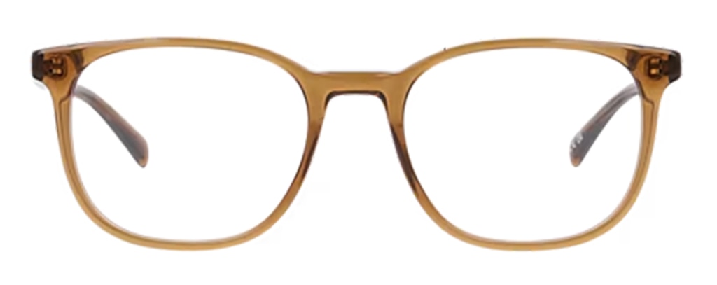 A pair of large square frames in crystal-brown bio-acetate from our Scout range. 