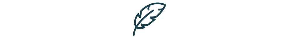 Feather icon.