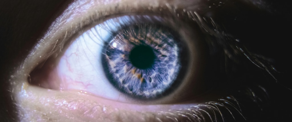 An extreme close-up of a violet-coloured eye.