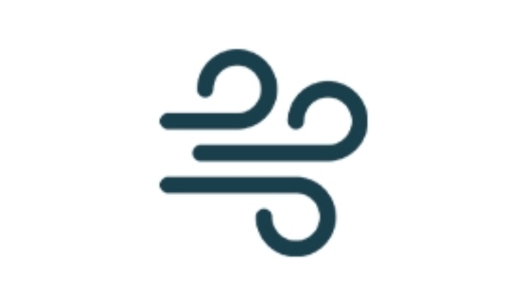 Airflow icon. 