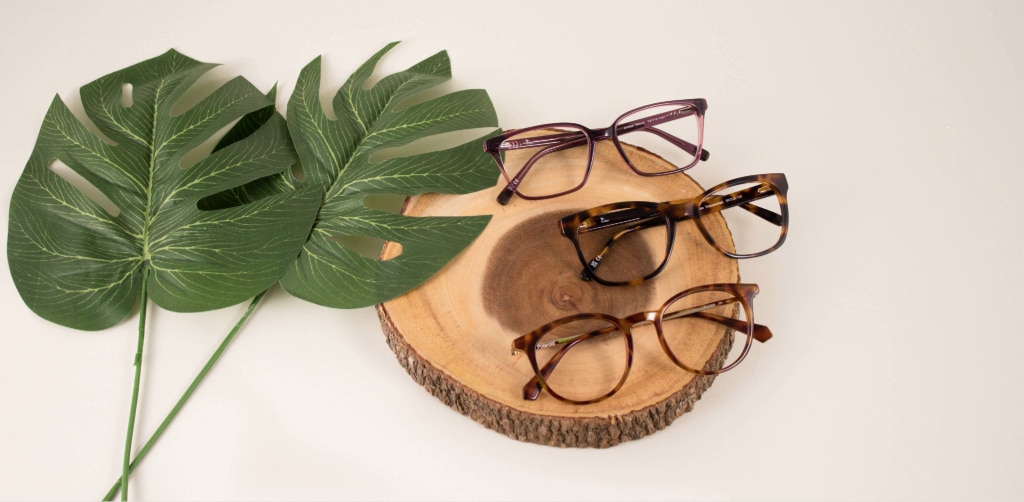 Three pairs of sustainable eyeglasses in purple and tortoiseshell displayed on a round wooden circle beside large green tropical leaves on a neutral background.