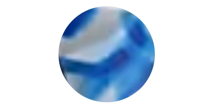 Blue tortoiseshell icon. 