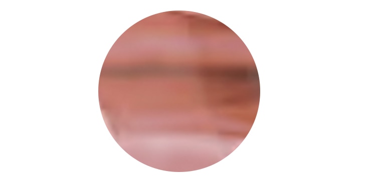 Pink tortoiseshell icon. 