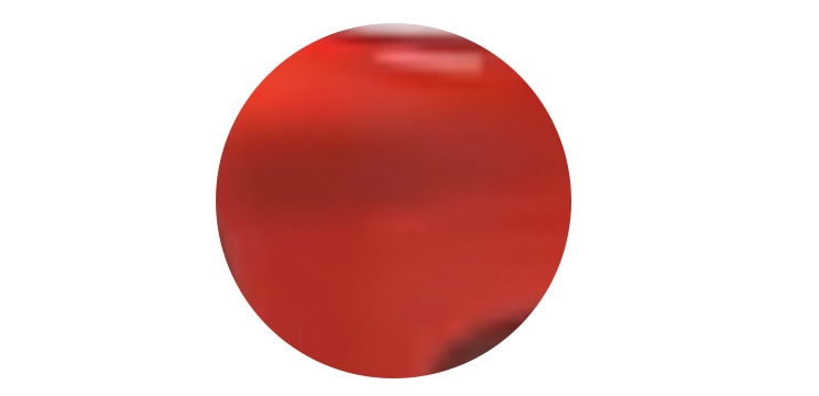Red tortoiseshell icon. 