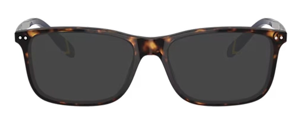 Rectangular Polo Ralph Lauren sunglasses with dark Havana frames, silver metal temples, and dark tinted lenses.