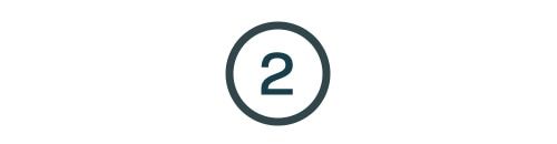 2 icon.