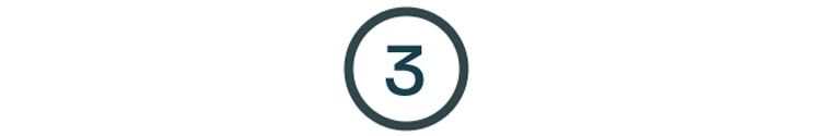3 icon.