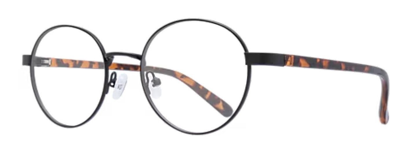 Side view of round glasses crafted from black metal with tortoiseshell plastic temples.