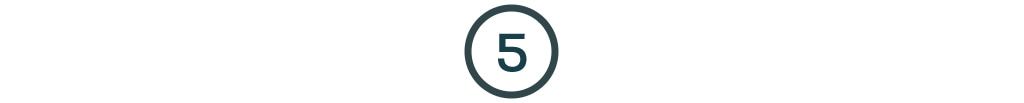 5 icon.