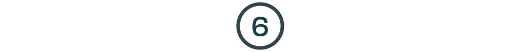 6 icon.