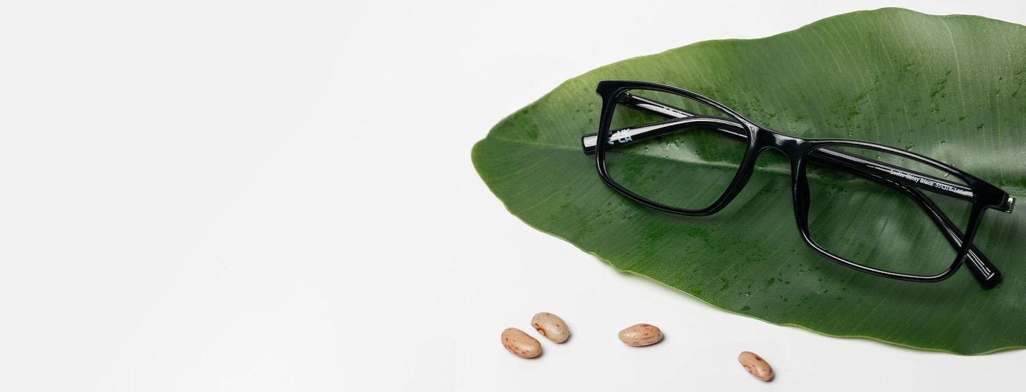 Bio Nylon frame on a leaf