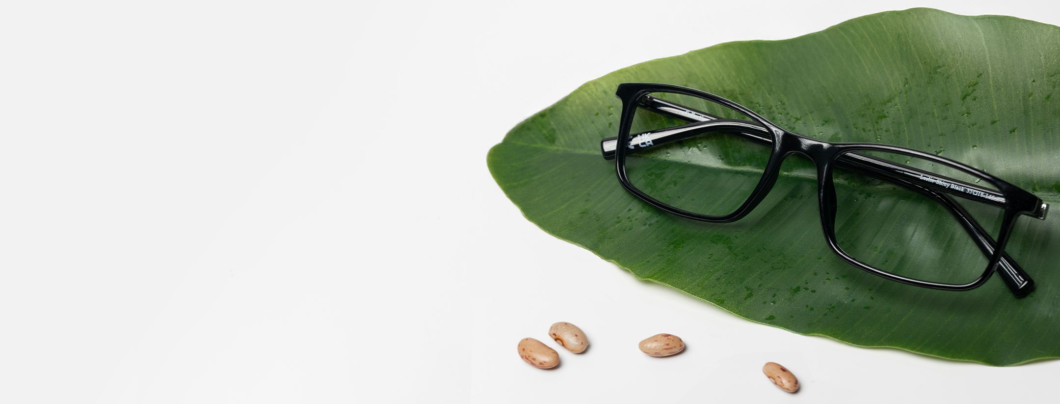 Bio Nylon frame on a leaf