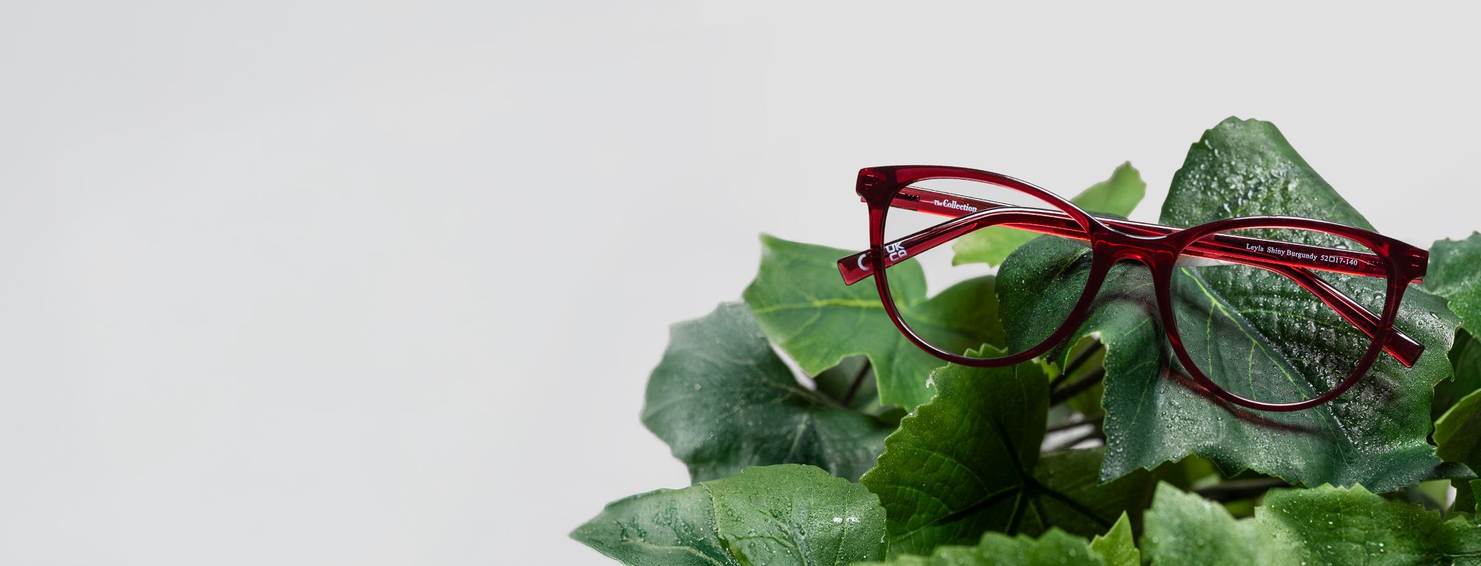 Bio-Nylon frame on leaves