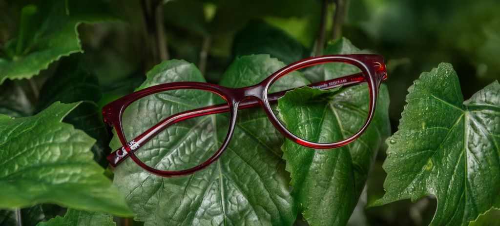 Shiny burgundy bio-nylon glasses resting on green foliage.