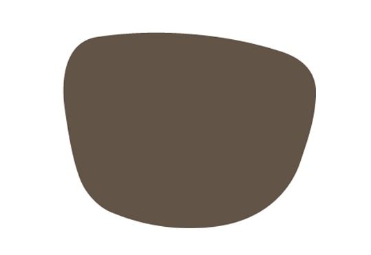 Brown sunglasses tints lens