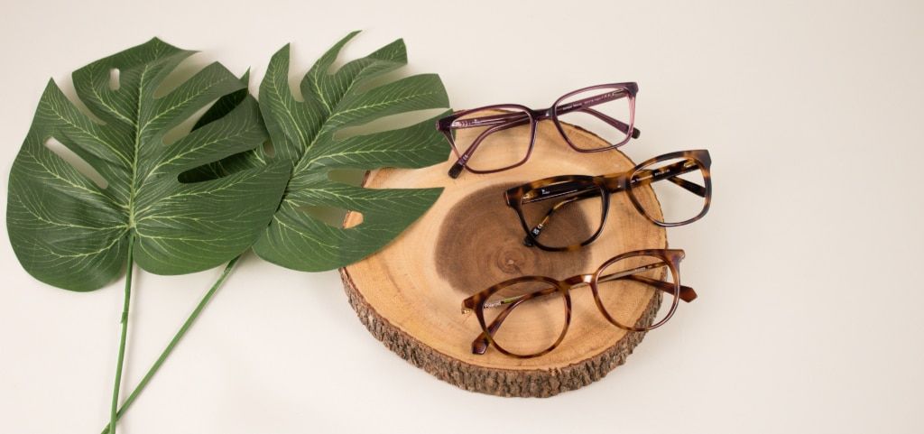 Three pairs of eco-friendly acetate glasses on a wooden display beside tropical leaves, highlighting sustainable eyewear materials and natural styling.