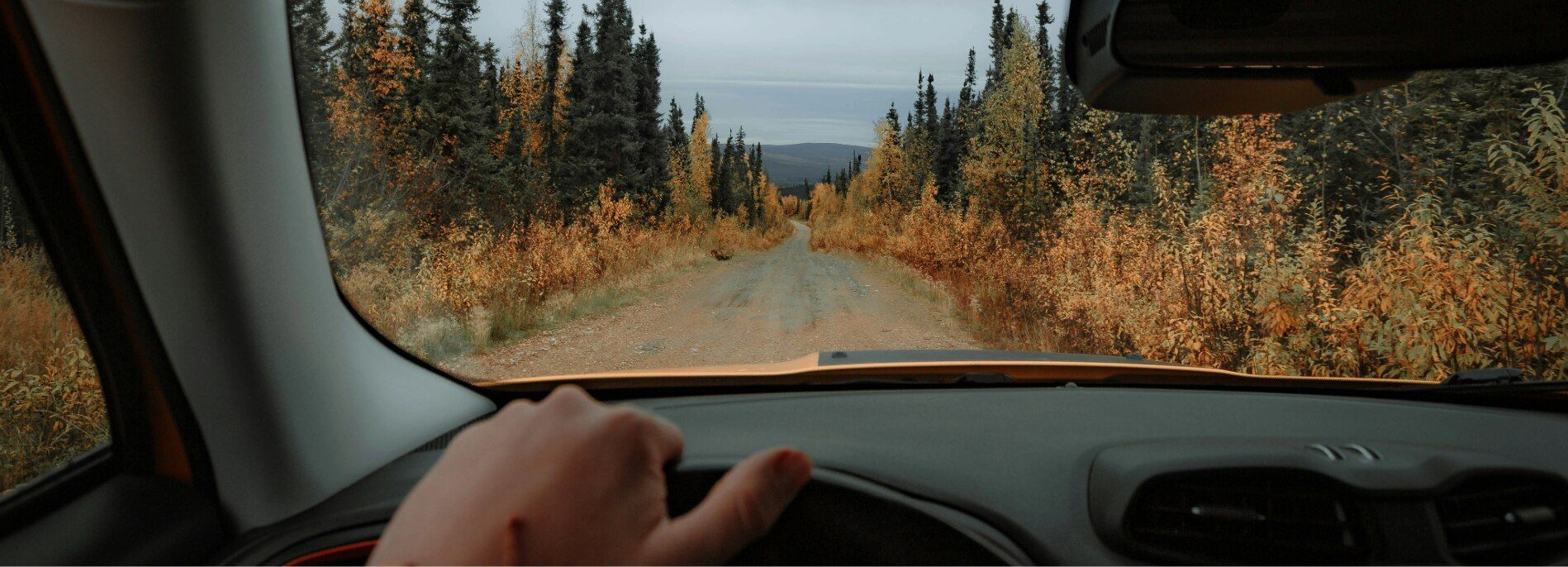 Driving in low autumn sun: why glare gets worse this time of year