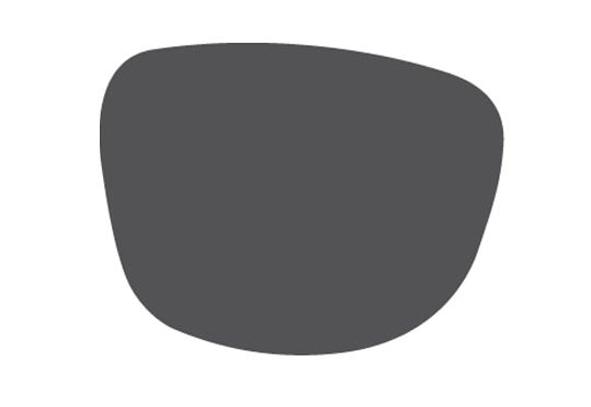 Grey tints lens