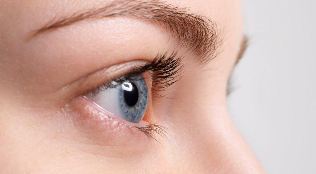 Close-up shot of a female blue-eye looking to the right