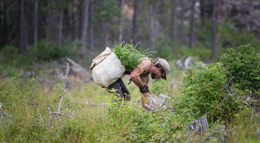 An interview with Louis Lagoutte from One Tree Planted