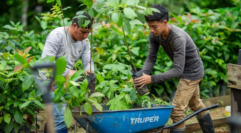 An interview with Louis Lagoutte from One Tree Planted