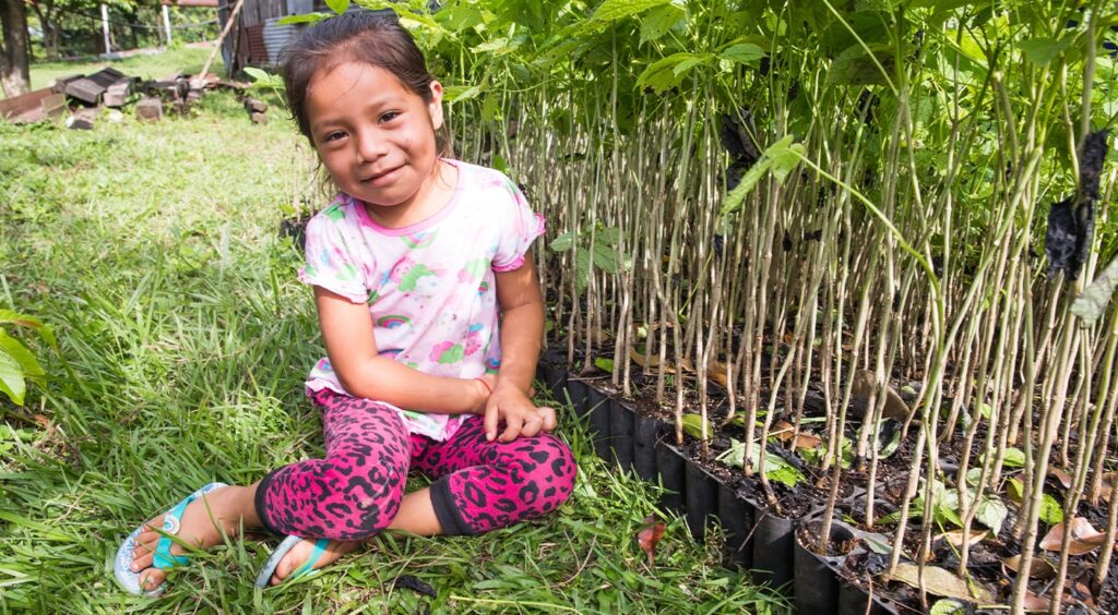 An interview with Louis Lagoutte from One Tree Planted