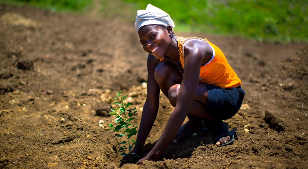 An interview with Louis Lagoutte from One Tree Planted
