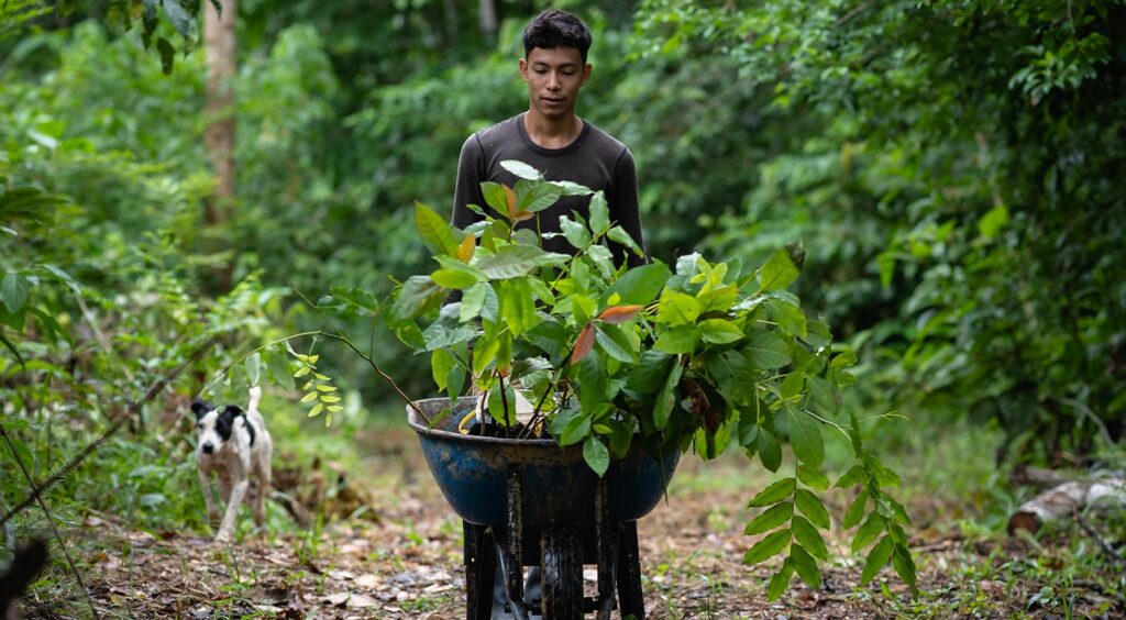 An interview with Louis Lagoutte from One Tree Planted