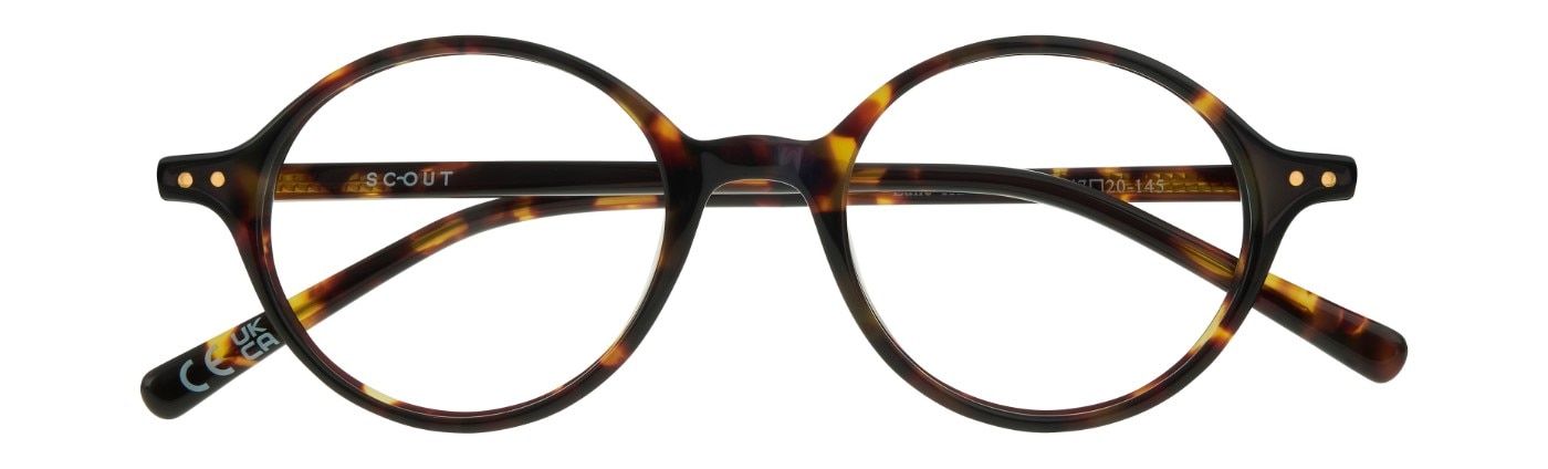 A retro-style round Havana acetate frame with gold pin detailing. It is neatly folded up.
