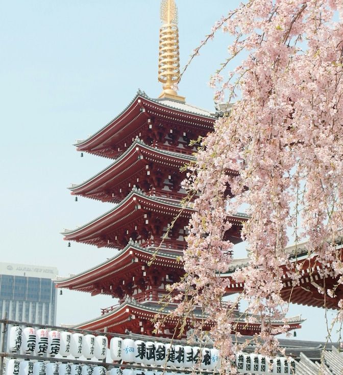 A temple in Tokyo, partially obscured by cherry blossoms in the foreground