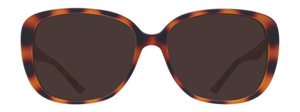 Rounded butterfly sunglasses with havana-coloured plastic frames