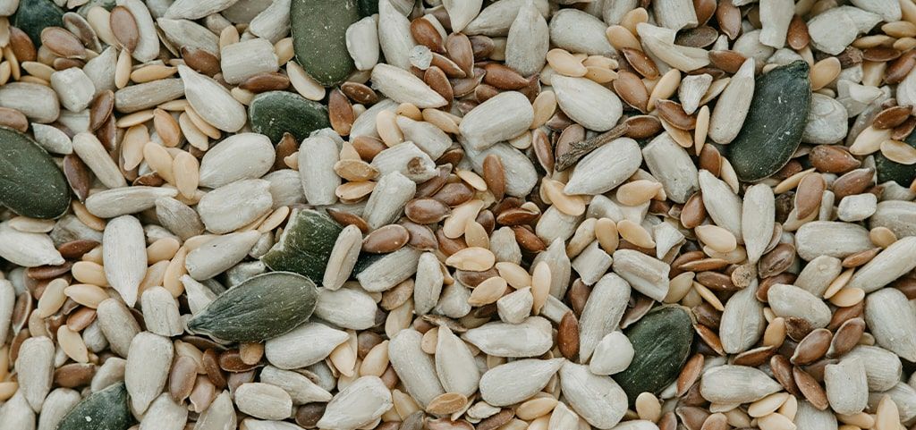 A close-up of a selection of different seeds.