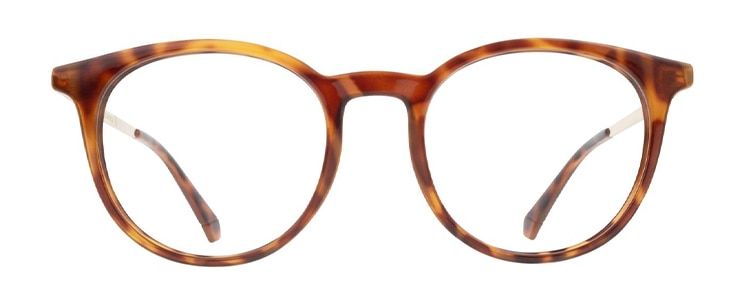 Round Tortoiseshell Polaroid frames