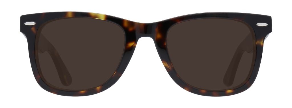 Wayfarer-style sunglasses with tortoiseshell frames, tinted lenses, and silver metal pin detailing.
