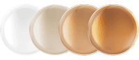 Introducing Transitions® x Diversity